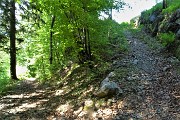 48 Il sentiero raggiunge la strada agrosilvopastorale